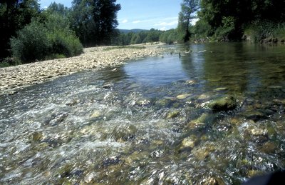 L'eau est d'or