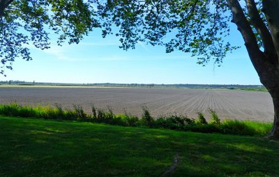 Marais asséché
