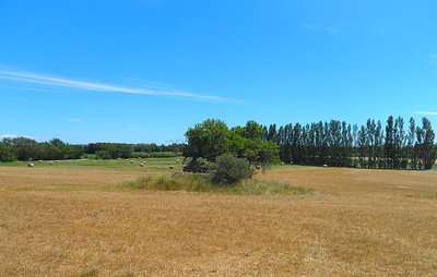 Les ruines de la cabane du berger