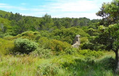 Les ruines du Jas