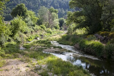 Zone humide du Calavon
