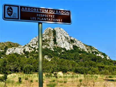 Arboretum du Badon
