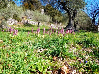 La Barlie de Robert