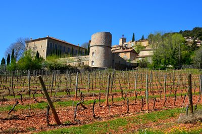 Le Château de Moissac