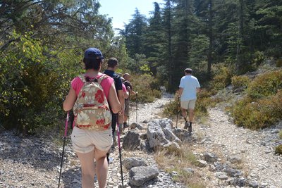 Amont du vallon des Esperacons