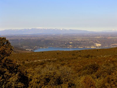 Plateau de Valensole en hiver