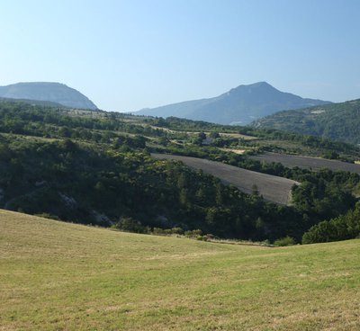 Le plateau Saint-Laurent