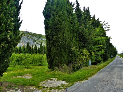 Plantation de fruitiers entourée de haies