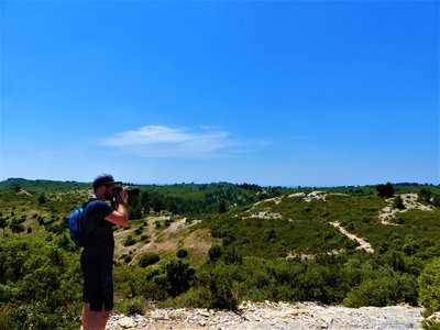 Paysage de la Montagnette