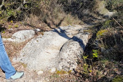 Traces de charettes