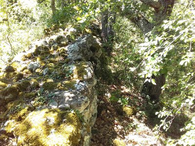 Mur en bord du sentier
