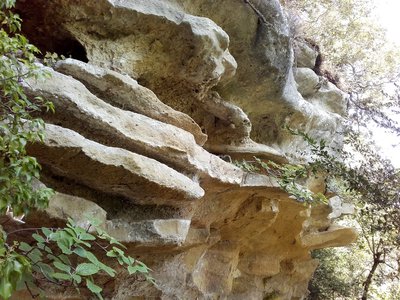 Strates de molasse