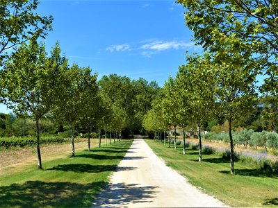 Entrée secondaire du domaine de Valdition