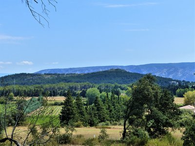 Vue sur le Mont Sauvy et le Petit Luberon