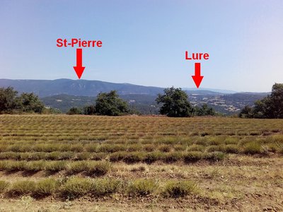Mont Saint-Pierre (1156 m) et la Montagne de Lure à l'est (1826 m)