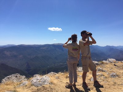 Observation des ambassadeurs du Parc naturel régional des Préalpes d'Azur
