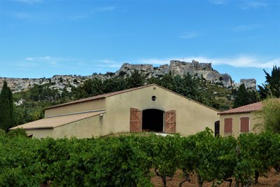 Cave et vigne du Mas Saint Berthe