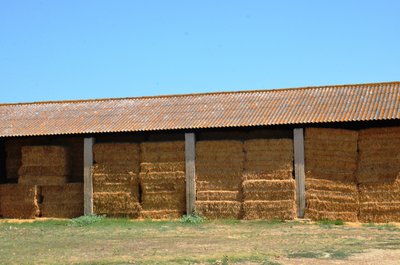 Foin de la Crau