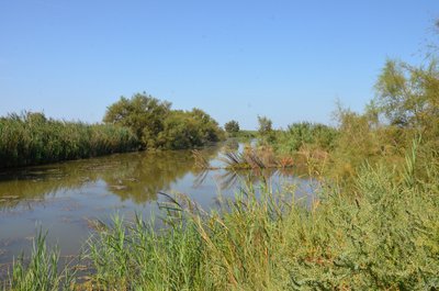 Marais du Verdier