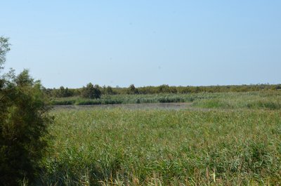 Bassin du Pesquier
