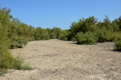 Marais des Enganes