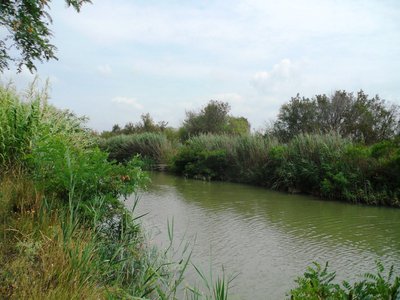 Canal de Rousty