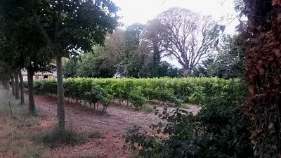 Domaine de Bouchaud