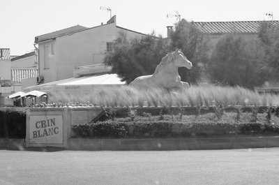 A l'entrée des Saintes-Maries-de-la-Mer...