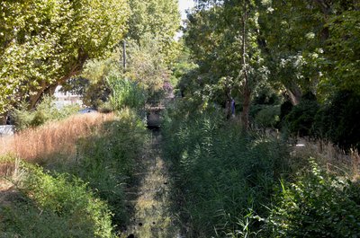 Le canal de Craponne dans Arles