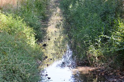Eau du canal de Craponne