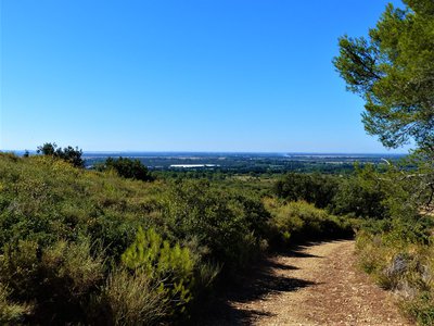 Vue sur la plaine de la Crau
