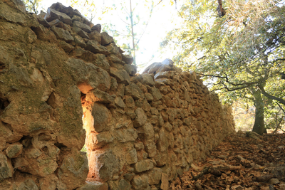 Ruines du Jas du Blanc