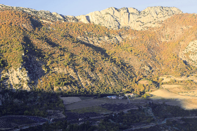 Adret de la montagne de Montlaud