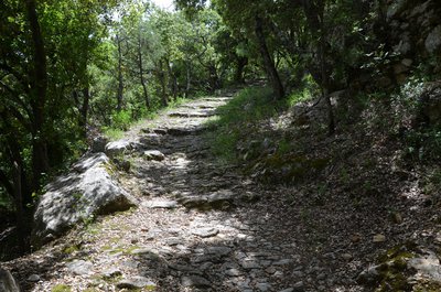 Chemin du paradis des Ânes