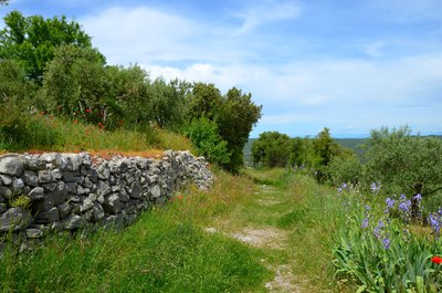 Le chemin du Baou