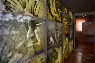 Le musée de la truffe