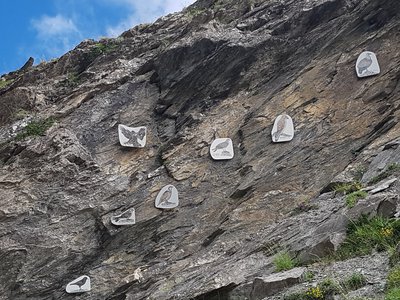Le mur aux oiseaux