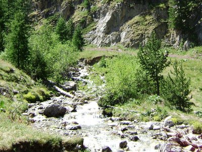 Torrent