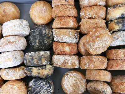 Fromages de brebis