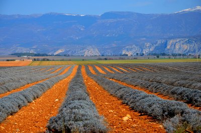Le plateau en hiver
