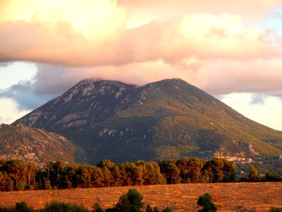 Le grand Margès