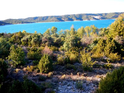 Terrain du conservatoire