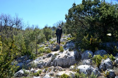 Sur le chemin des lapiazs