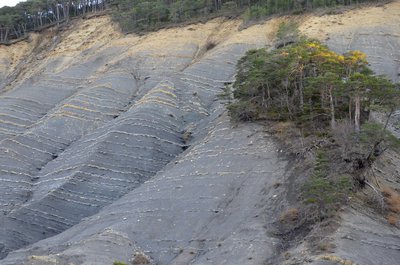 Les roches sédimentaires