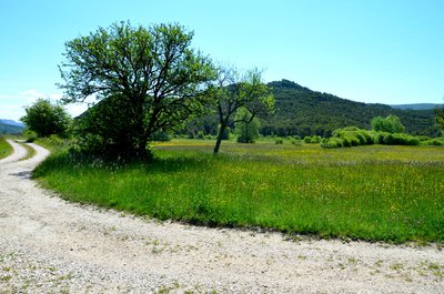 Les prairies de Saint-Pierre