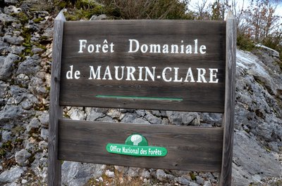 La fôret Domaniale