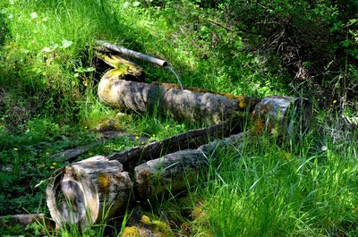 La source