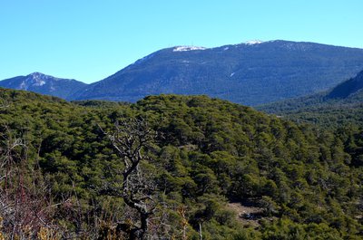 Vue sur le Lachens