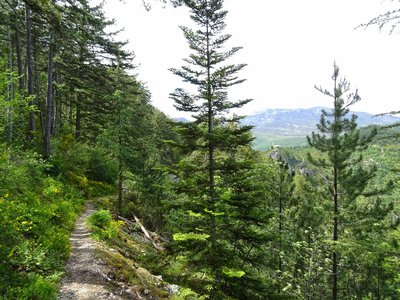Vue sur Notre Dame du Roc
