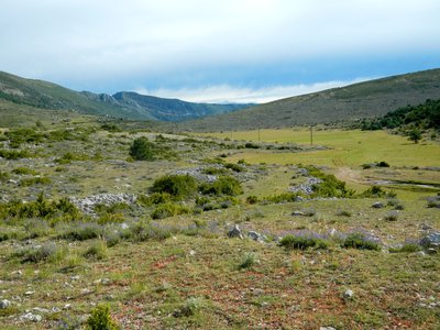 Les prairies de Suech